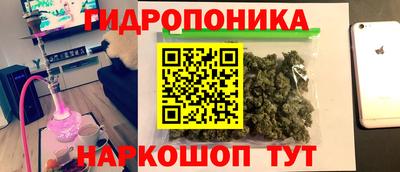 дурь Будённовск